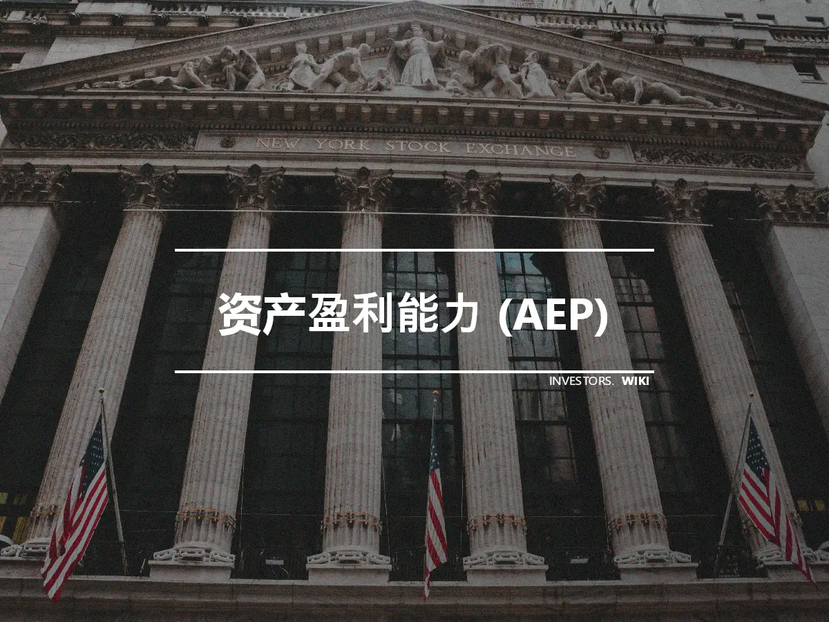 资产盈利能力 (AEP)