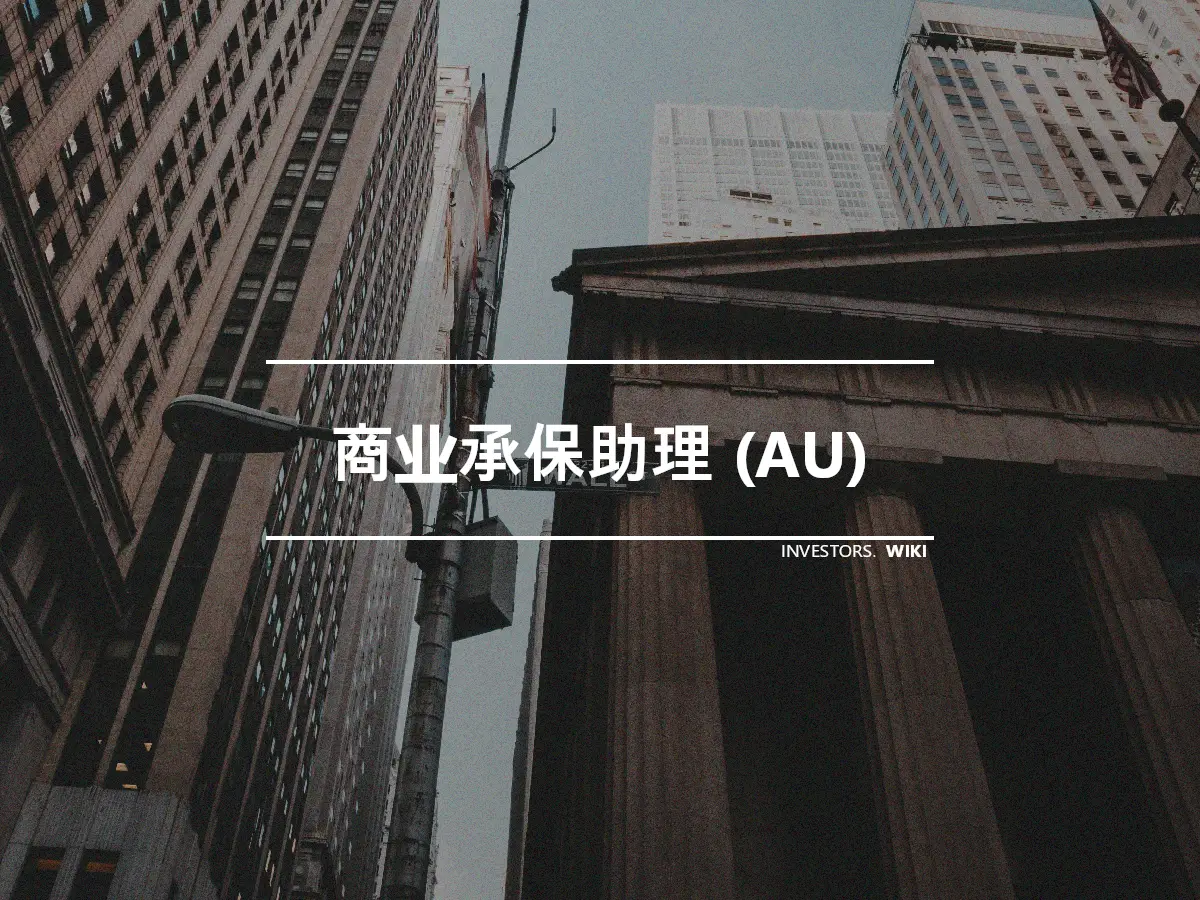 商业承保助理 (AU)