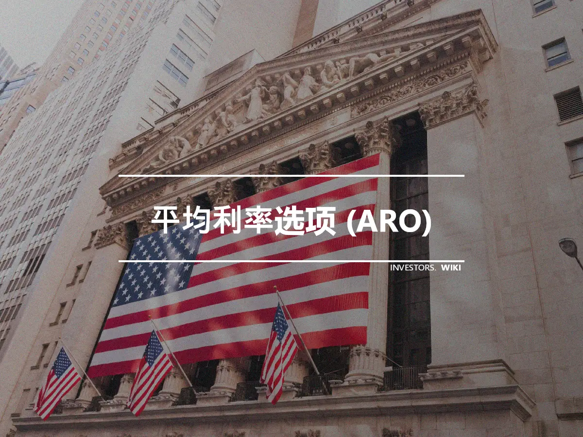 平均利率选项 (ARO)