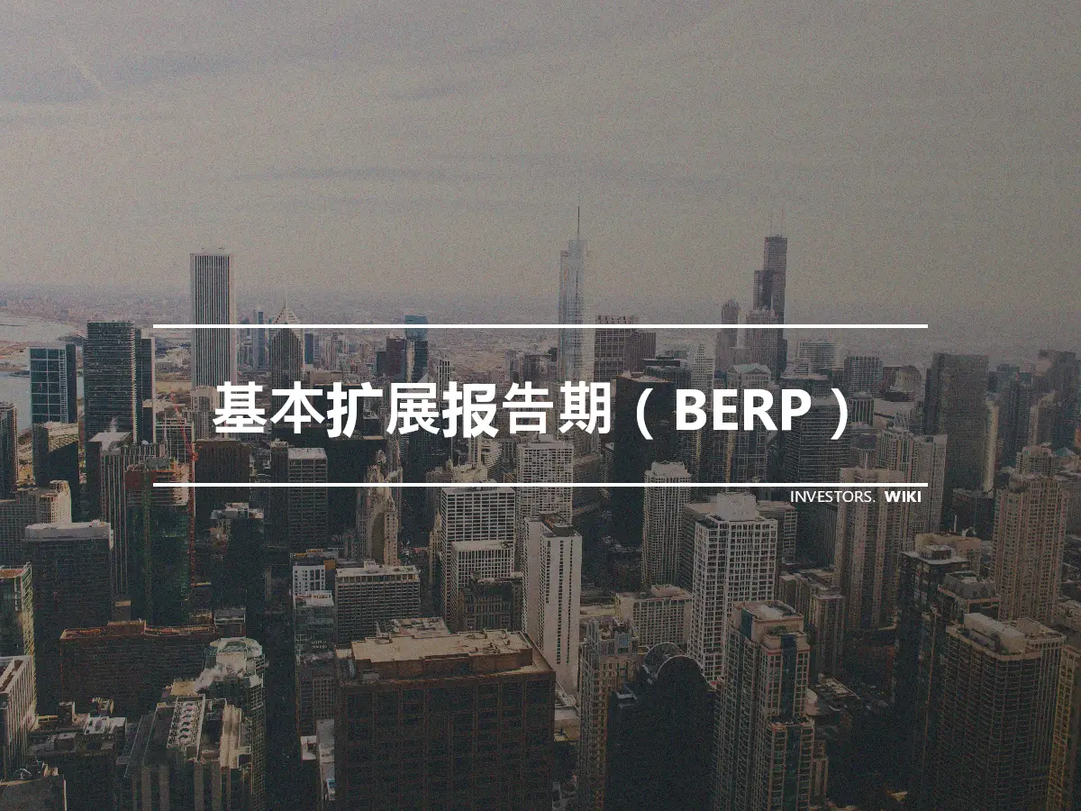 基本扩展报告期（BERP）