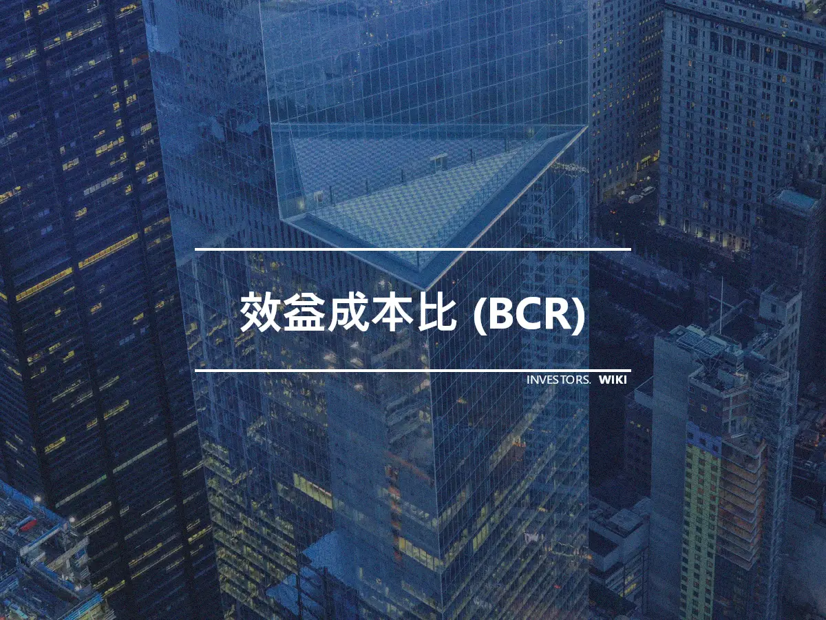 效益成本比 (BCR)