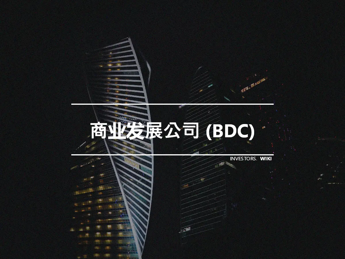 商业发展公司 (BDC)