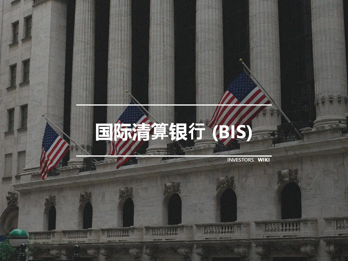 国际清算银行 (BIS)