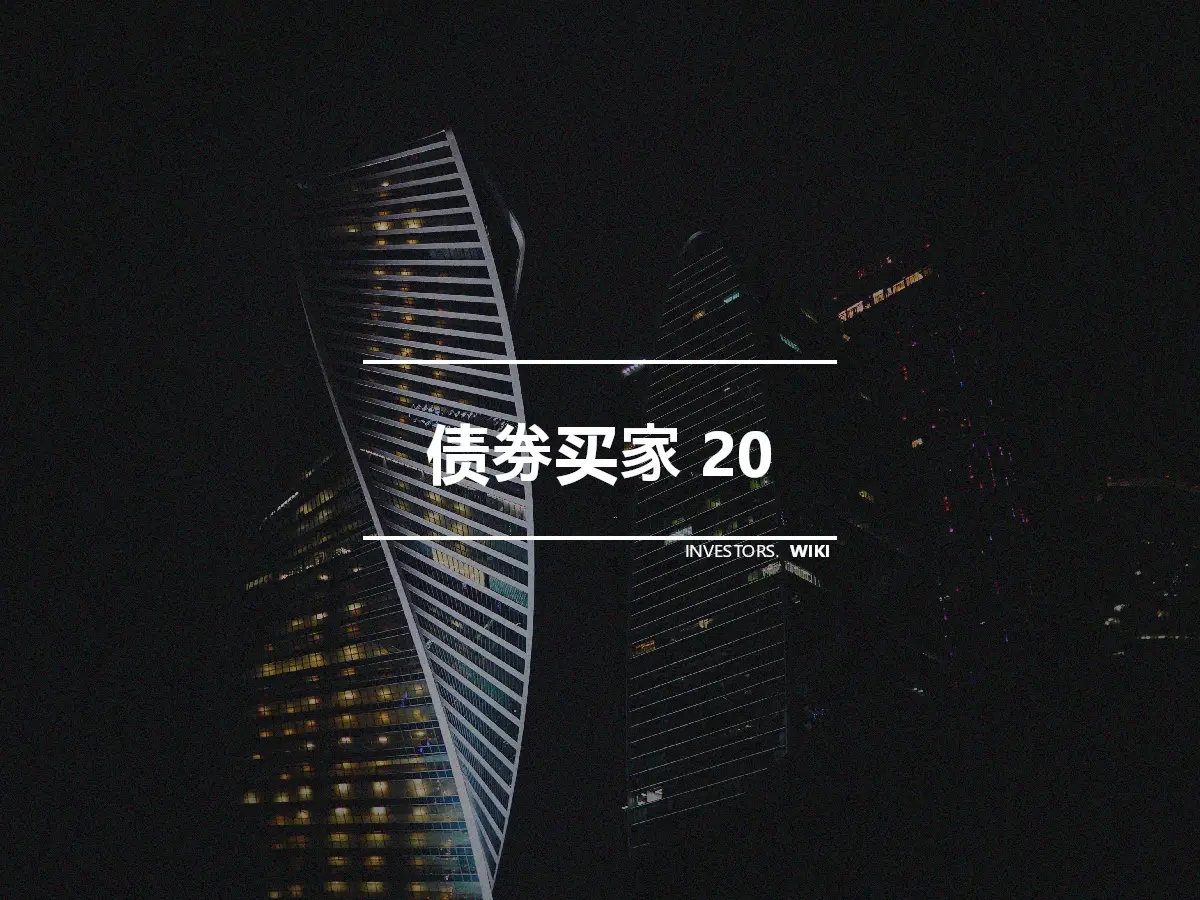 债券买家 20