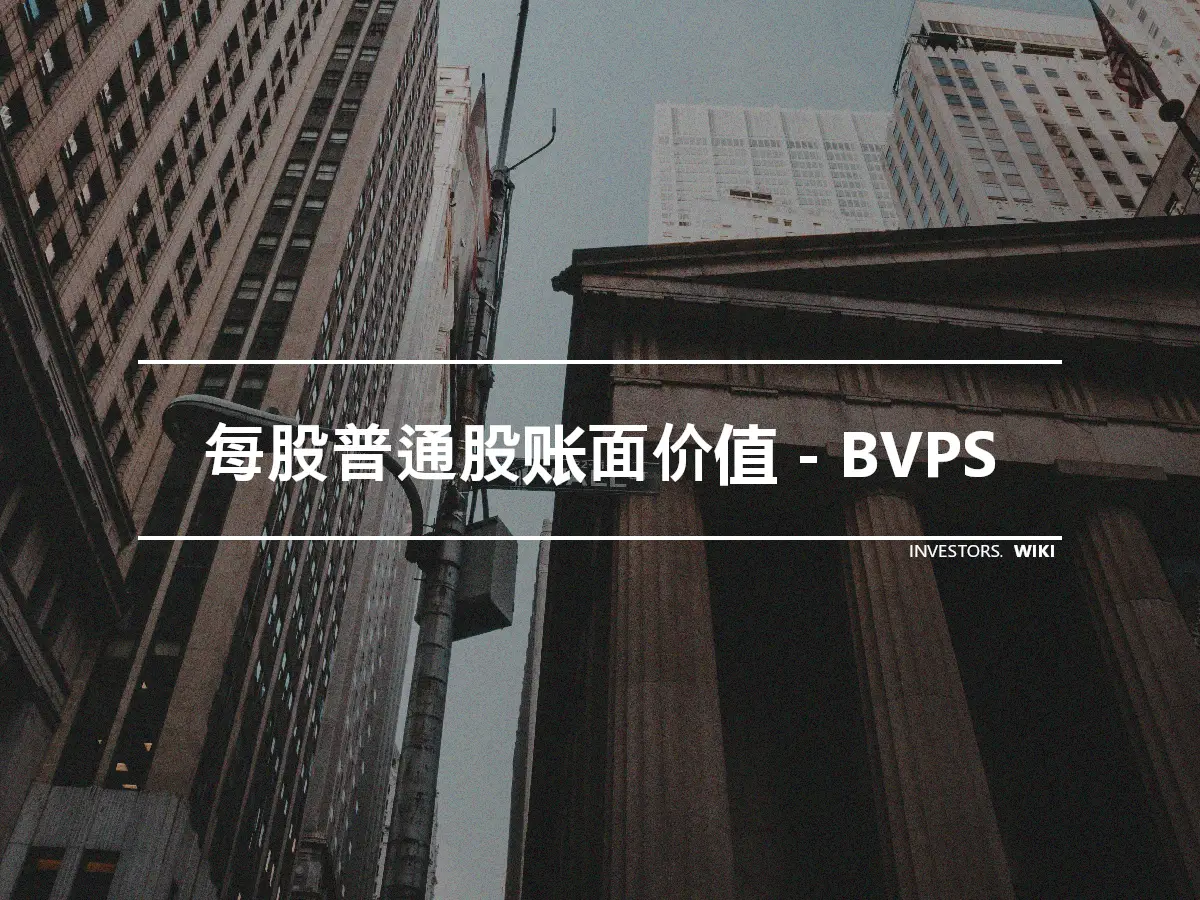 每股普通股账面价值 - BVPS