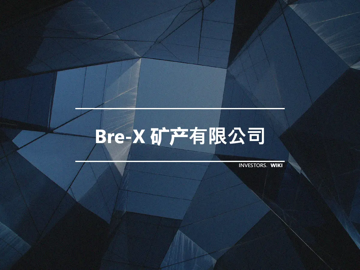 Bre-X 矿产有限公司