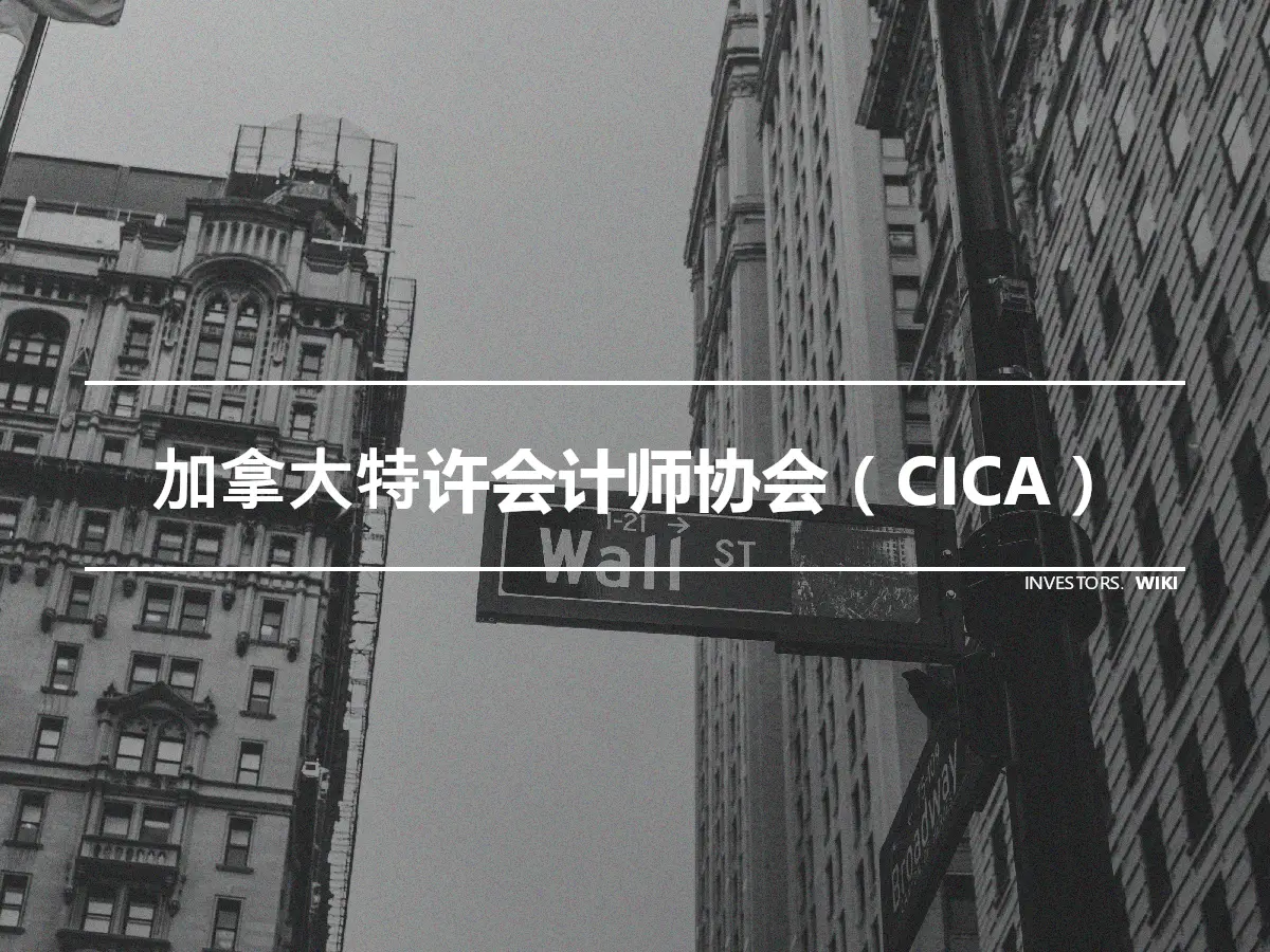加拿大特许会计师协会（CICA）