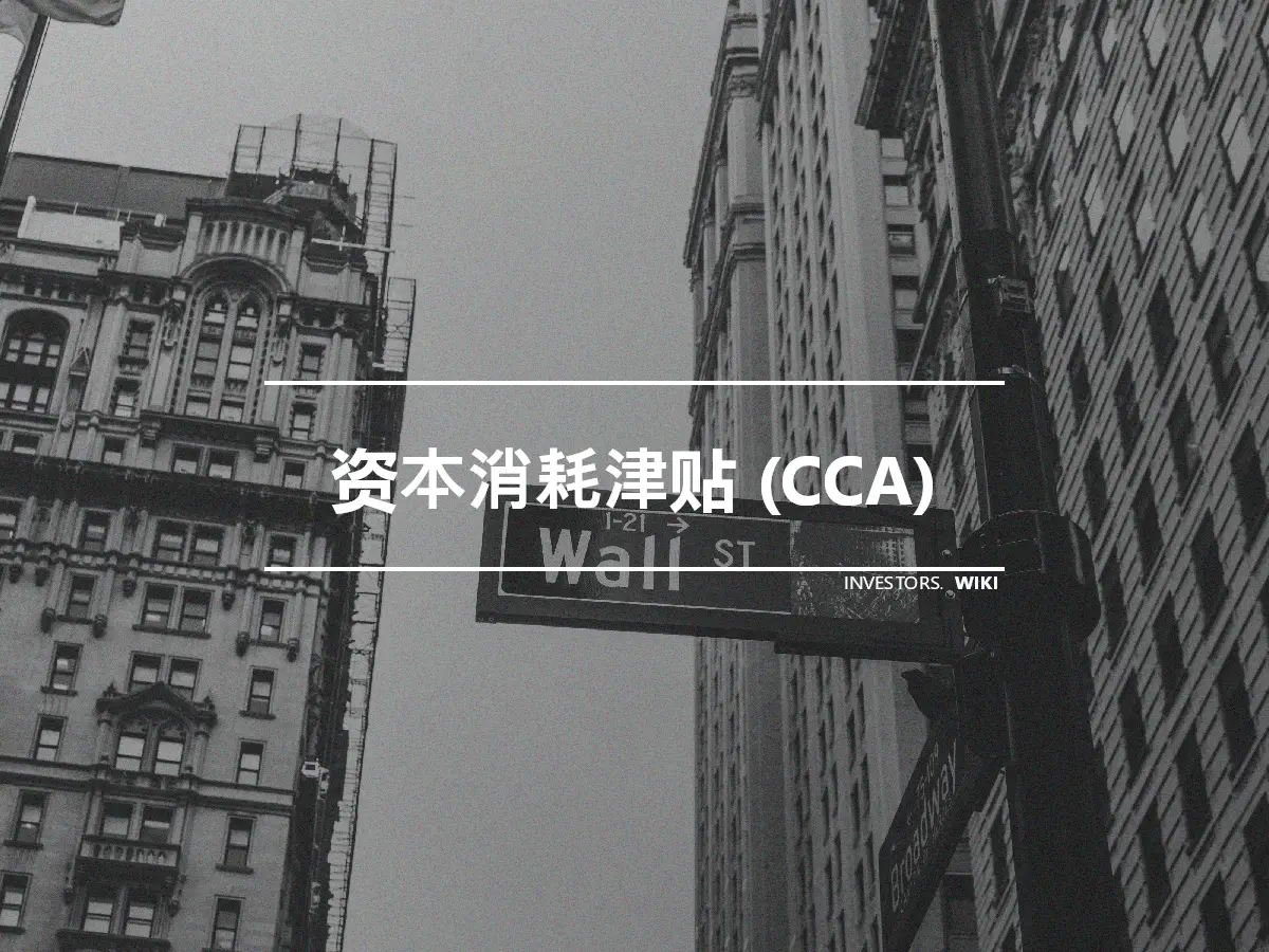 资本消耗津贴 (CCA)