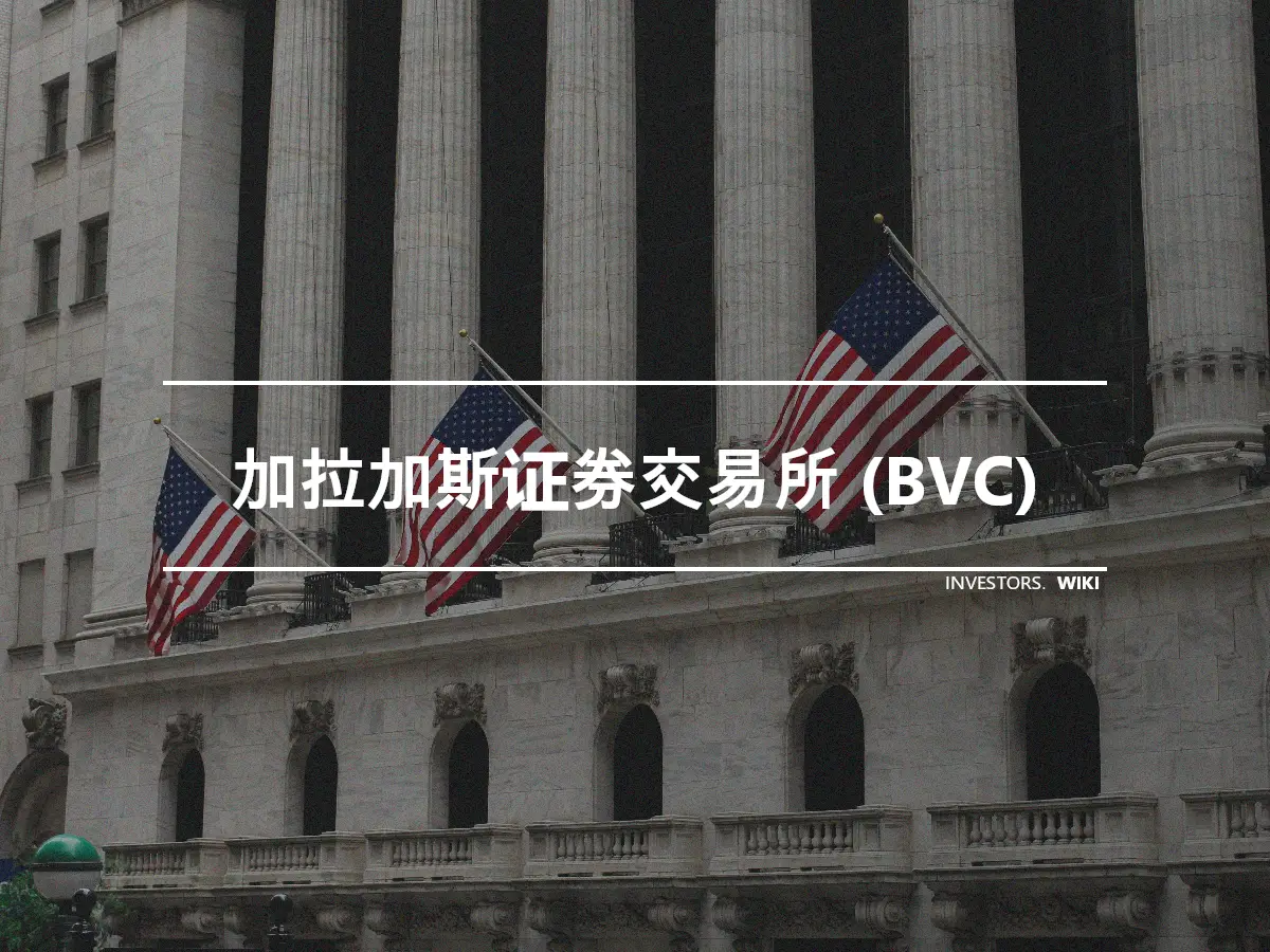 加拉加斯证券交易所 (BVC)