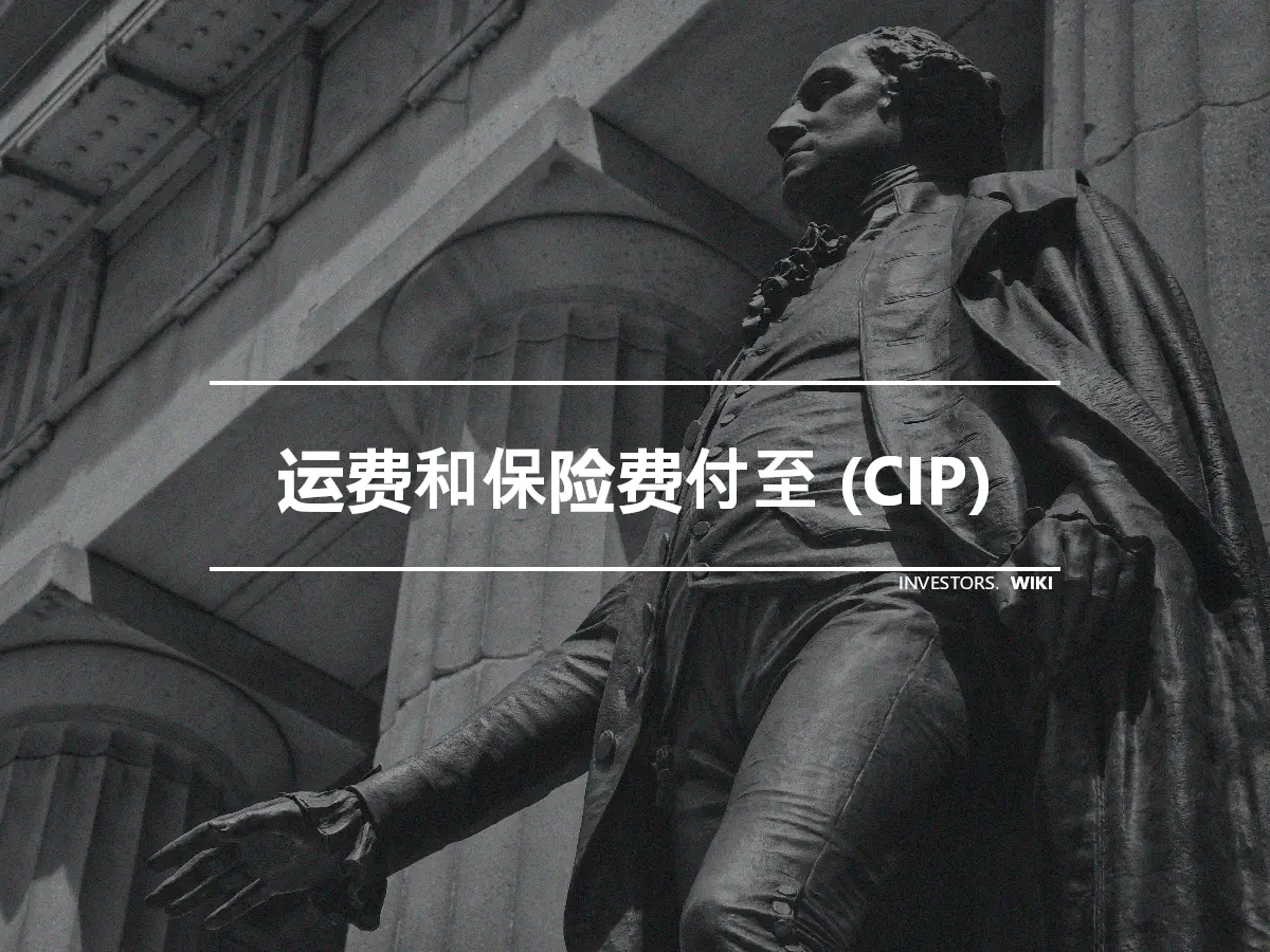 运费和保险费付至 (CIP)