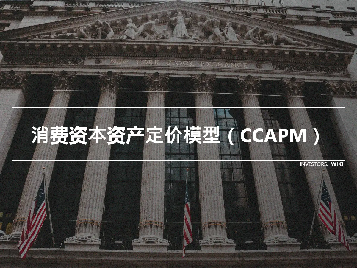 消费资本资产定价模型（CCAPM）