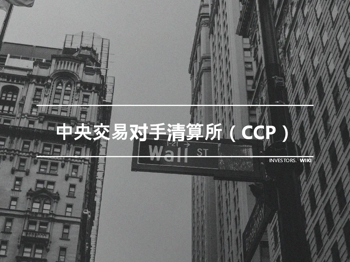 中央交易对手清算所（CCP）