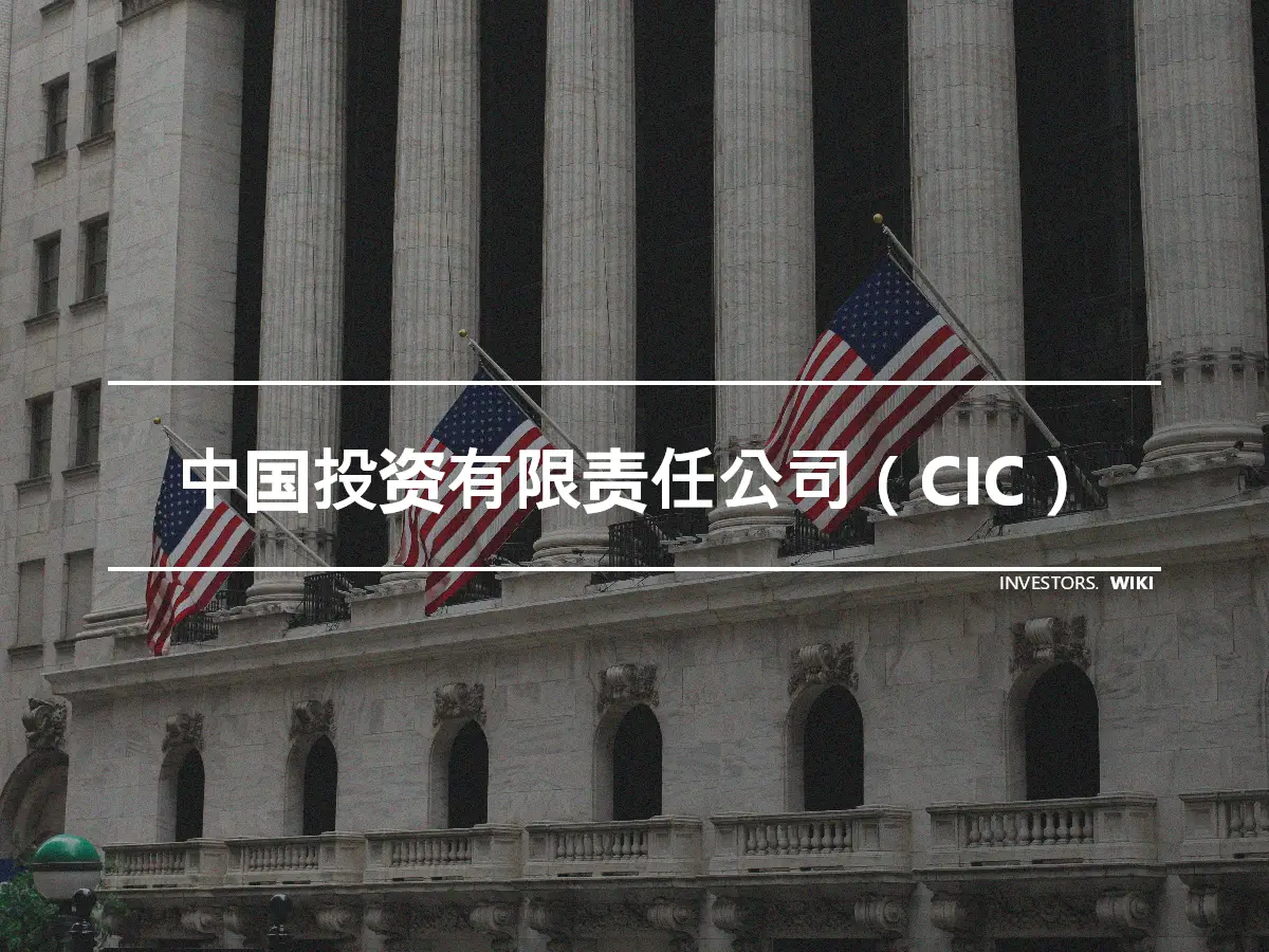 中国投资有限责任公司（CIC）