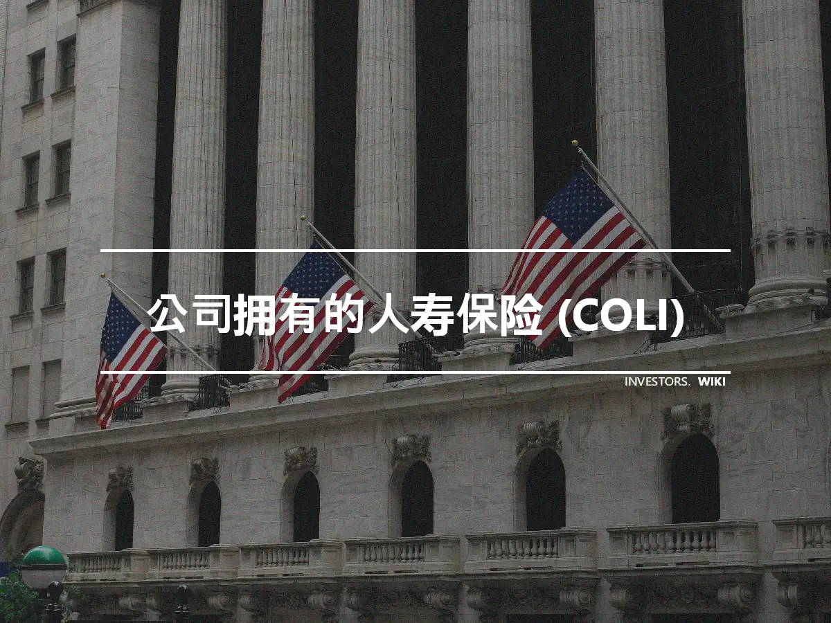 公司拥有的人寿保险 (COLI)