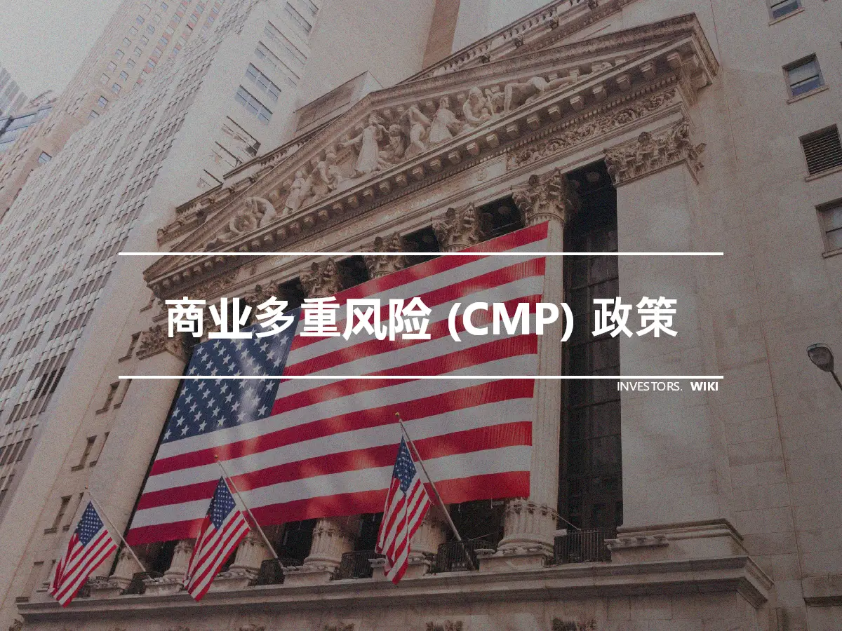 商业多重风险 (CMP) 政策