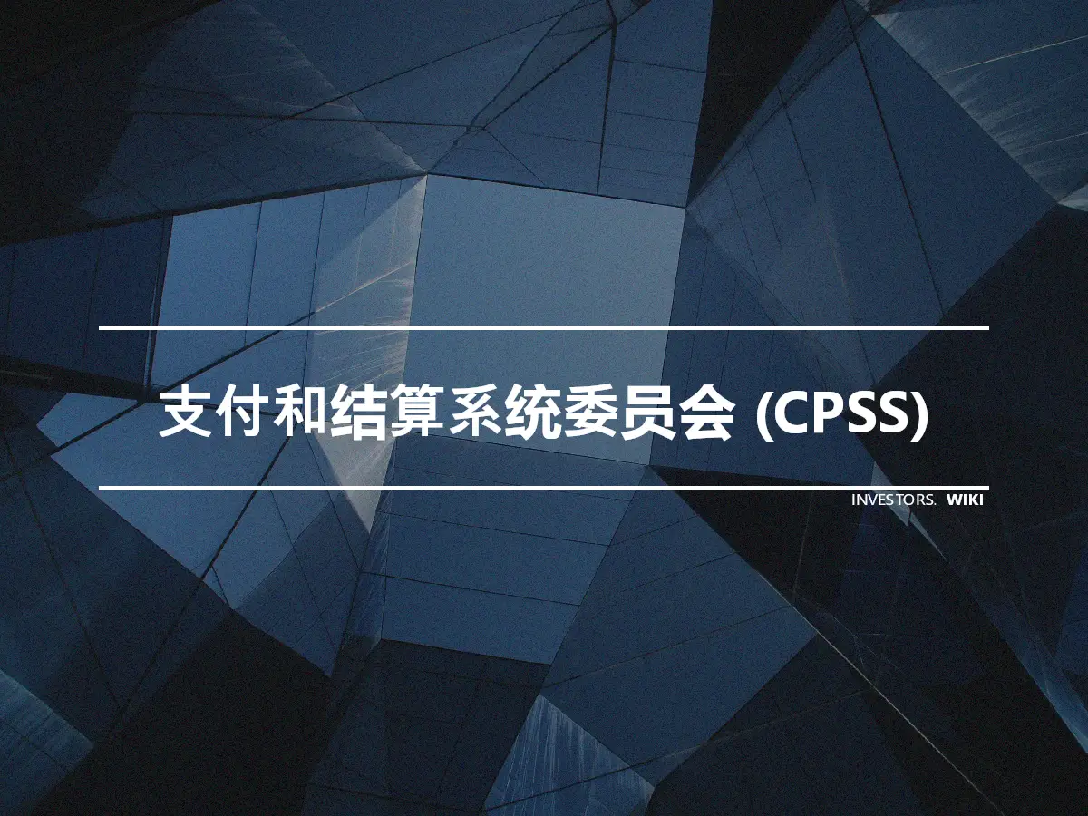 支付和结算系统委员会 (CPSS)