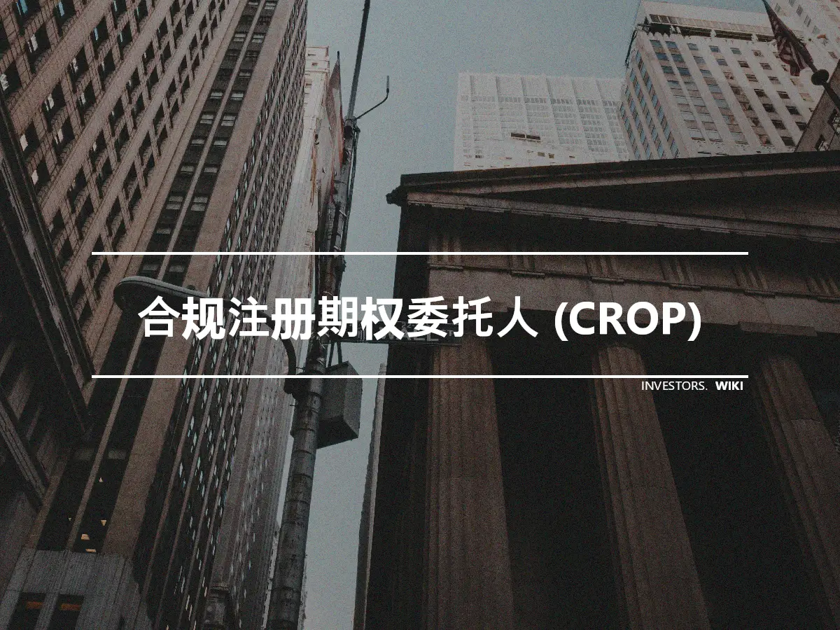 合规注册期权委托人 (CROP)