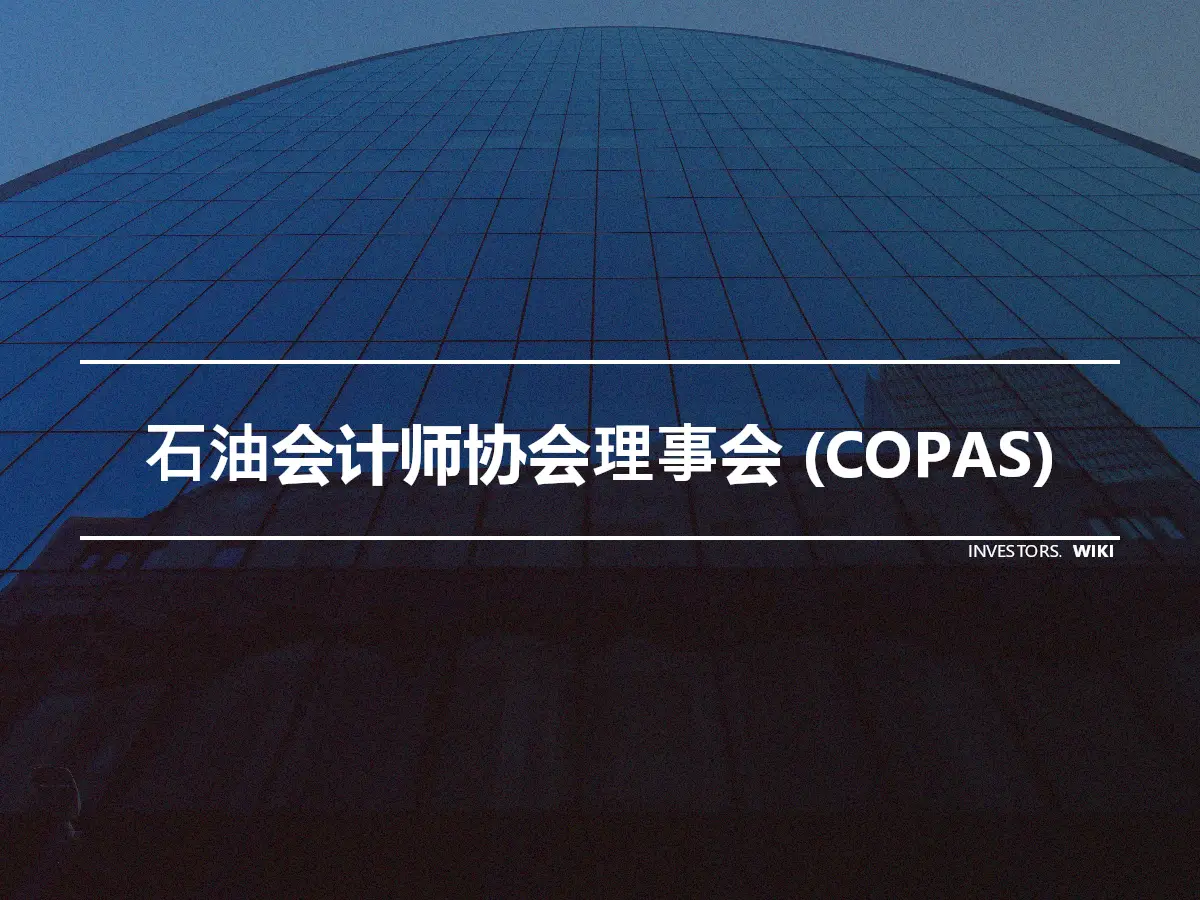 石油会计师协会理事会 (COPAS)