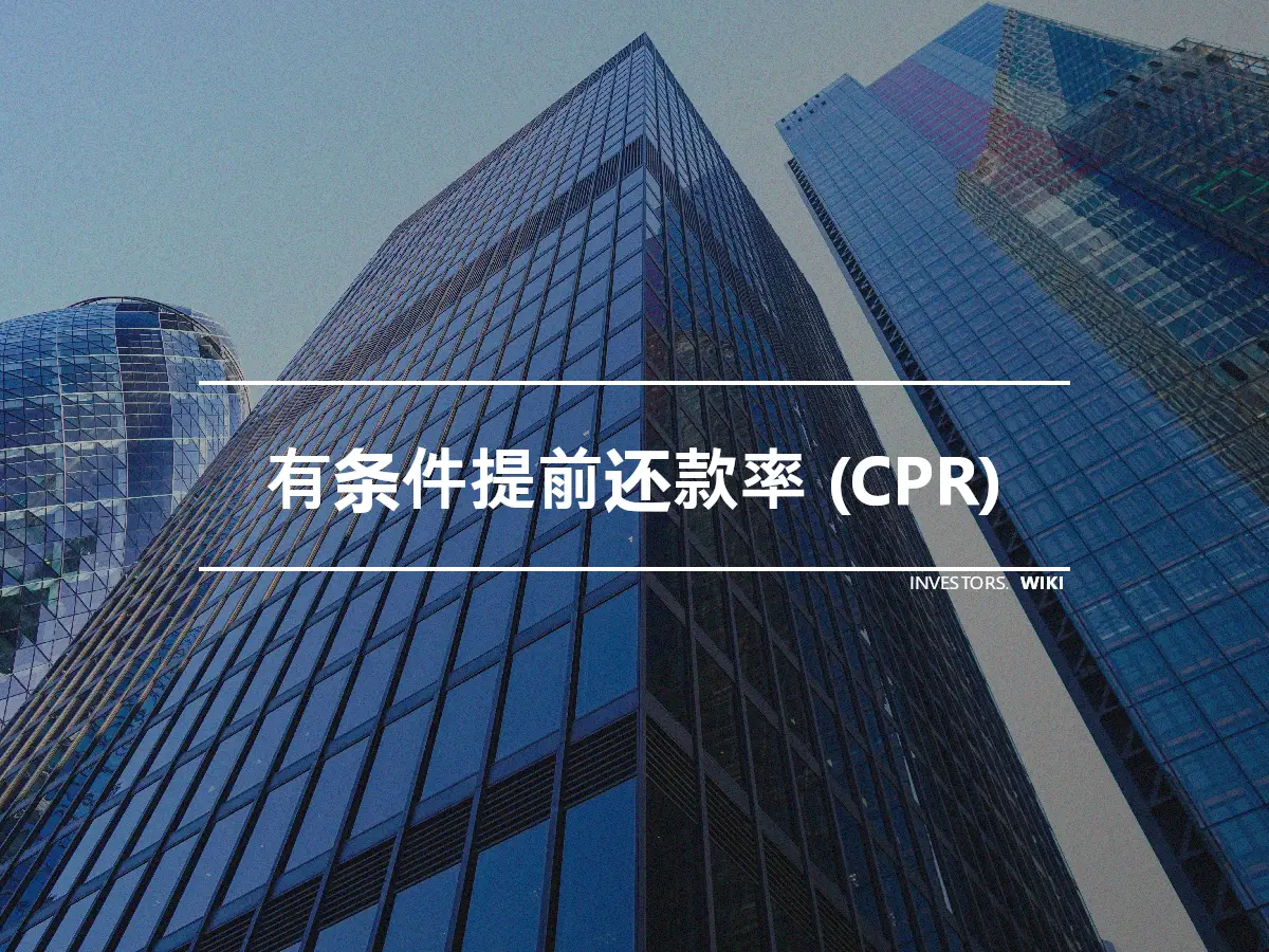 有条件提前还款率 (CPR)