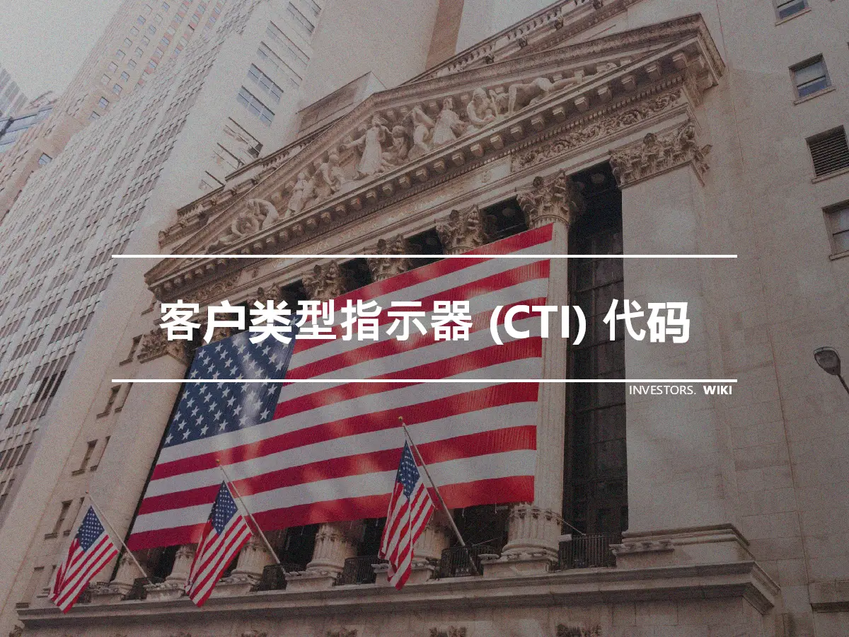 客户类型指示器 (CTI) 代码