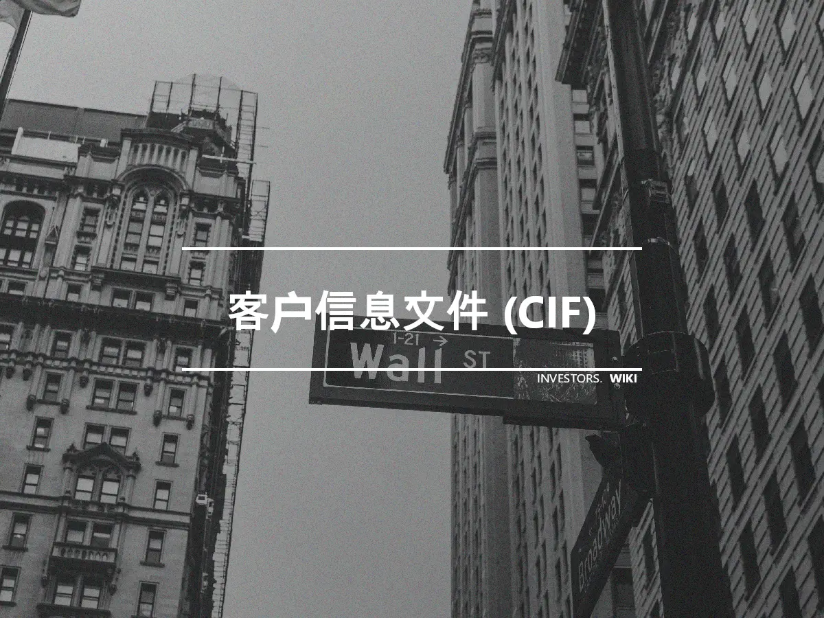 客户信息文件 (CIF)