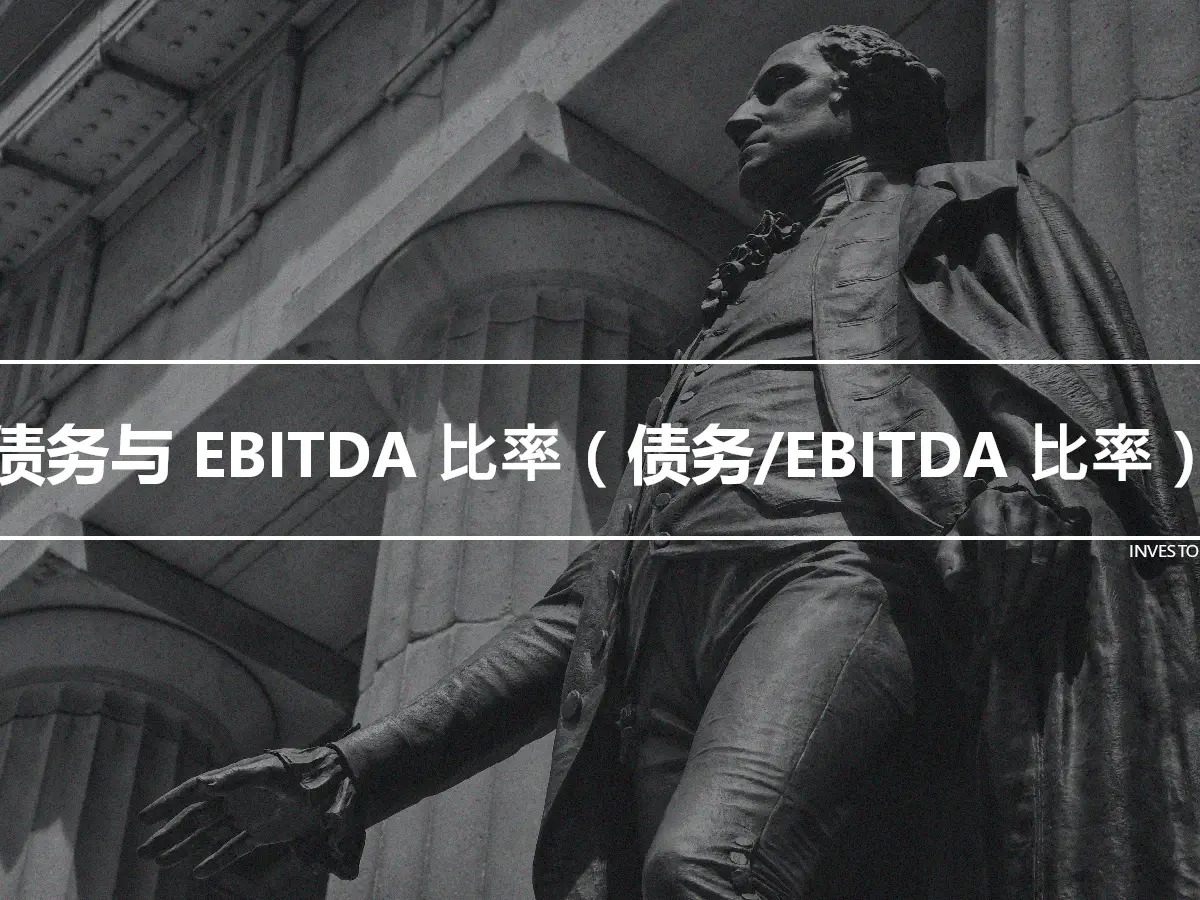 债务与 EBITDA 比率（债务/EBITDA 比率）