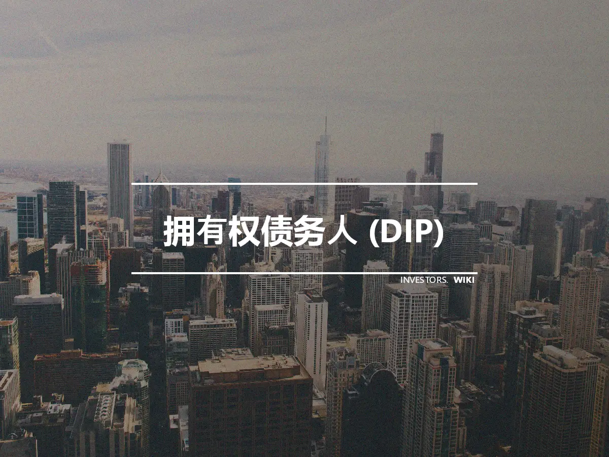 拥有权债务人 (DIP)