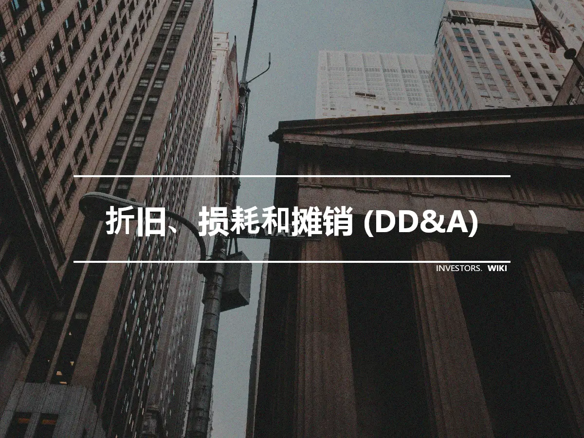 折旧、损耗和摊销 (DD&A)