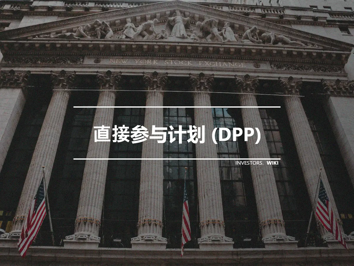 直接参与计划 (DPP)