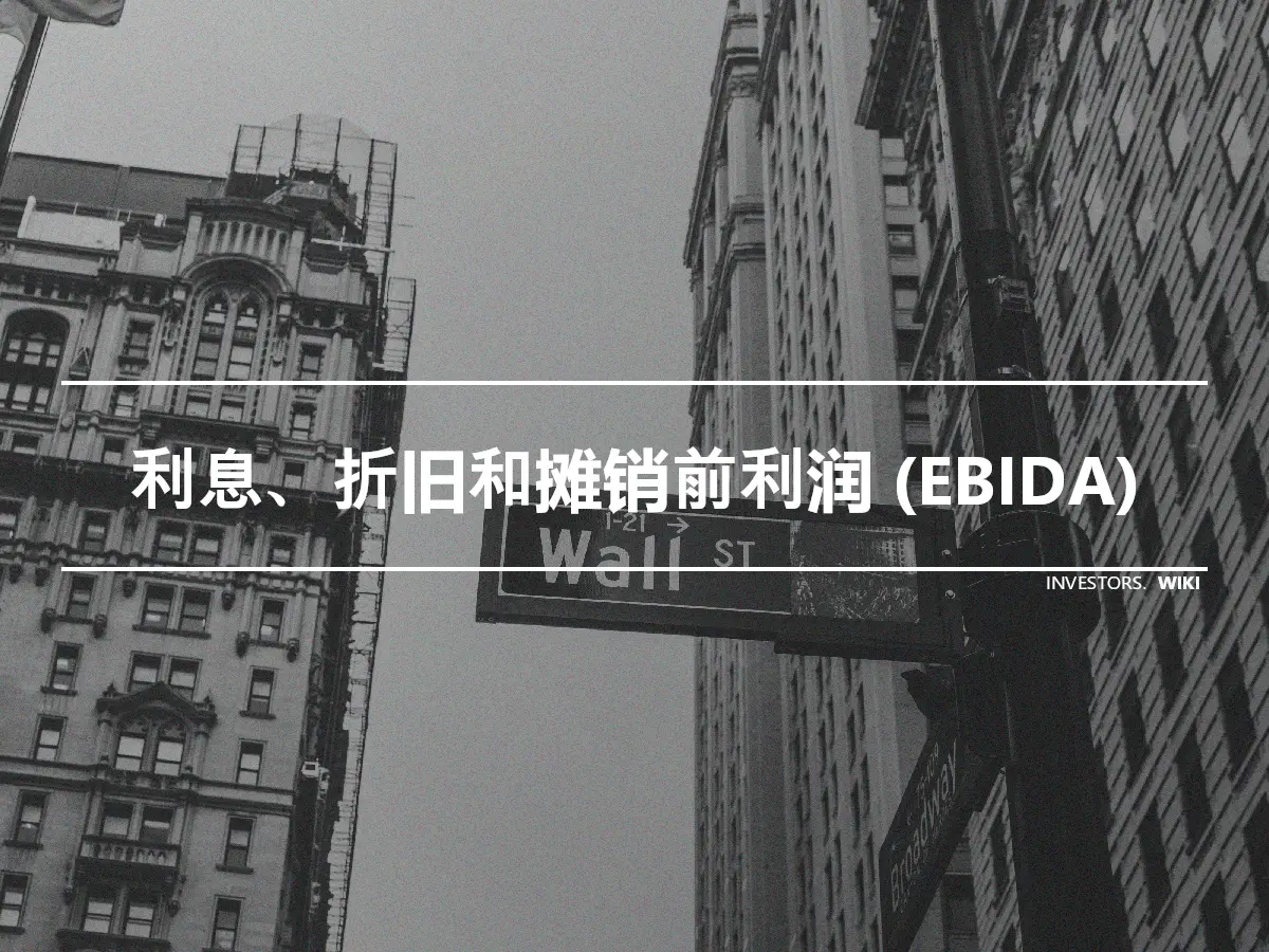 利息、折旧和摊销前利润 (EBIDA)