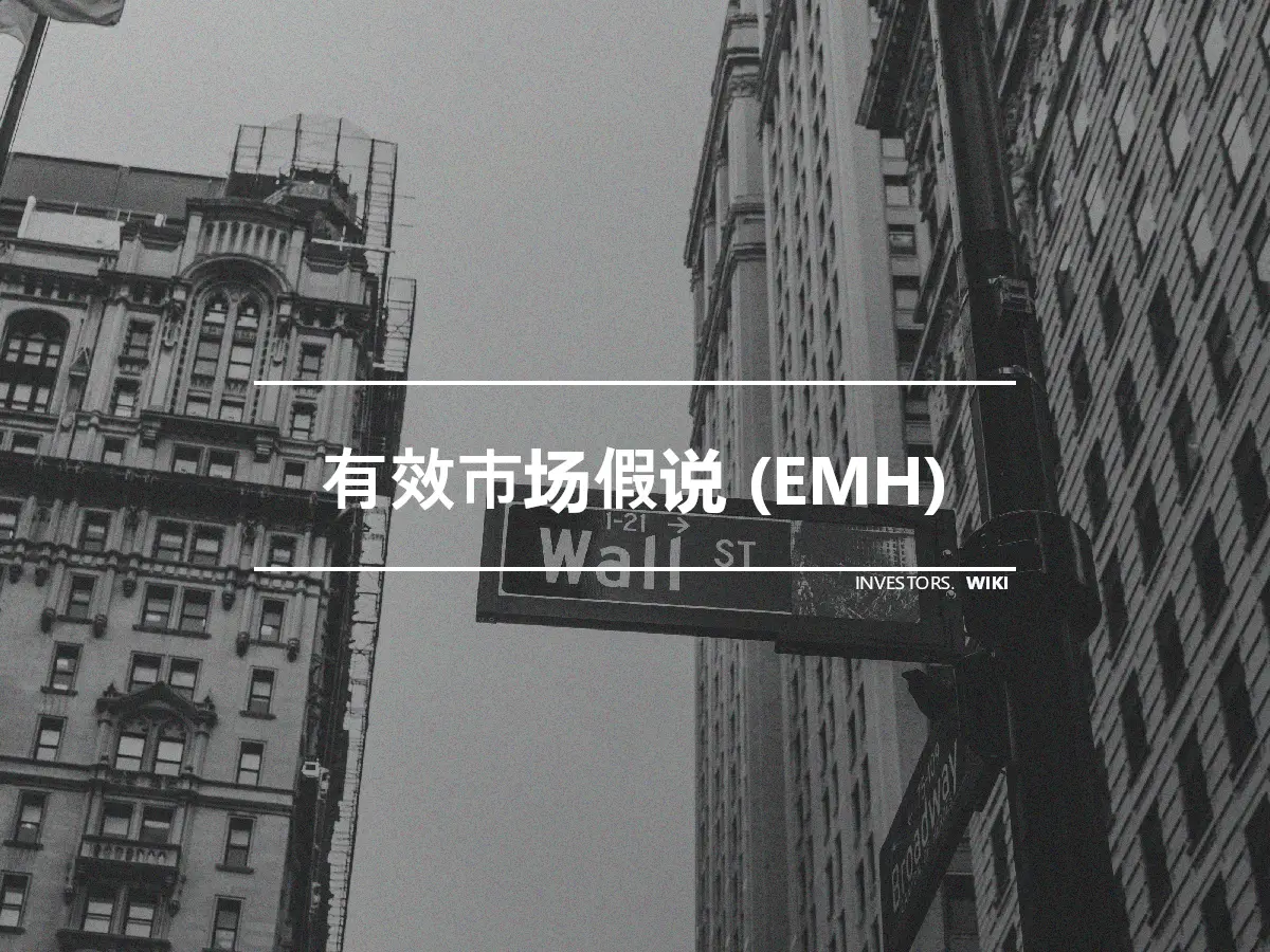 有效市场假说 (EMH)