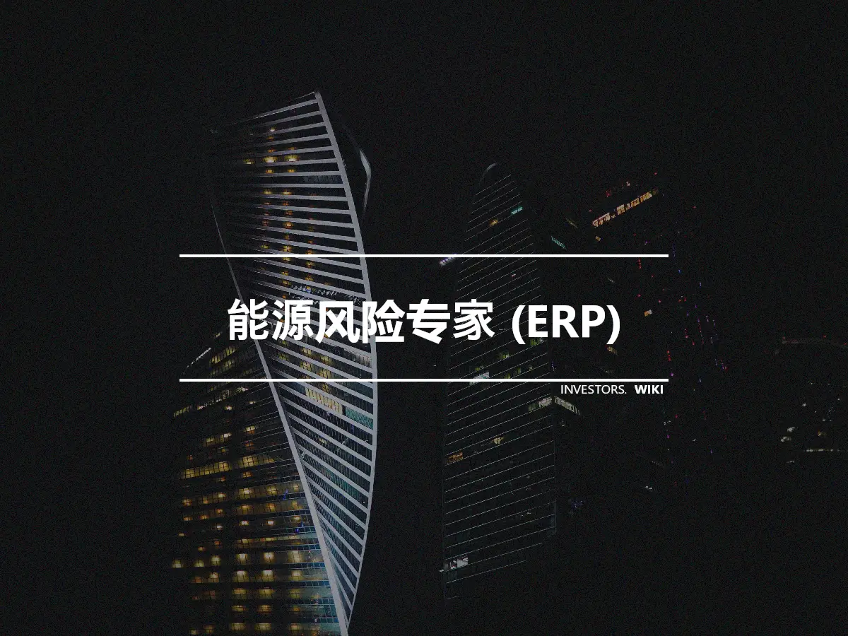 能源风险专家 (ERP)