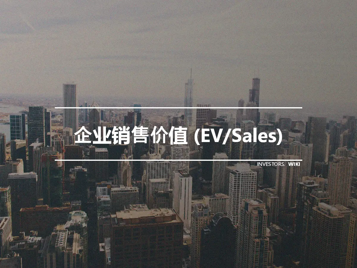 企业销售价值 (EV/Sales)