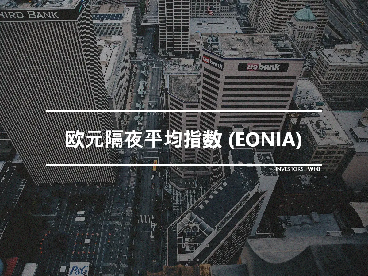 欧元隔夜平均指数 (EONIA)