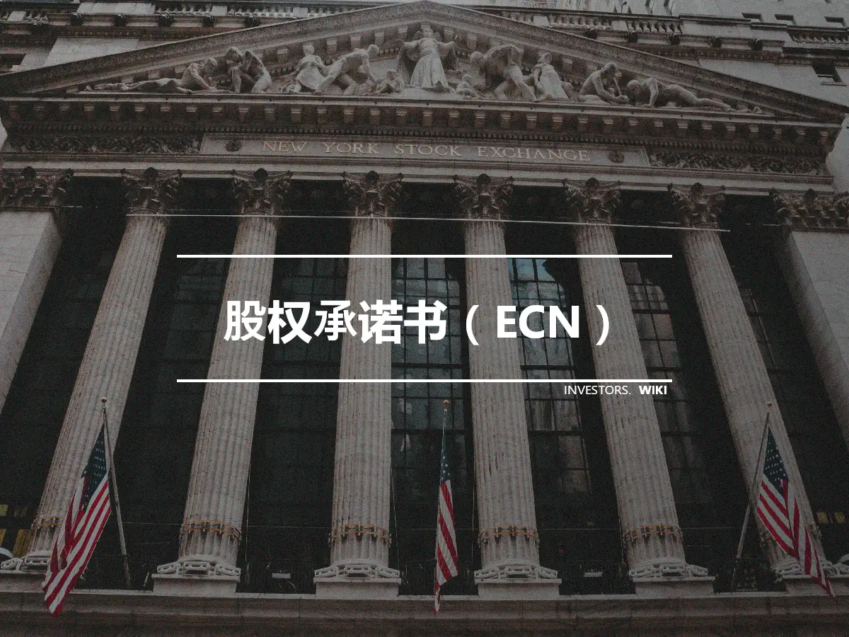 股权承诺书（ECN）