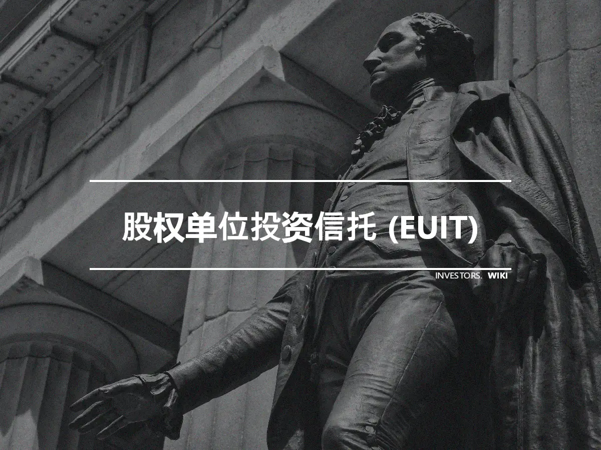 股权单位投资信托 (EUIT)