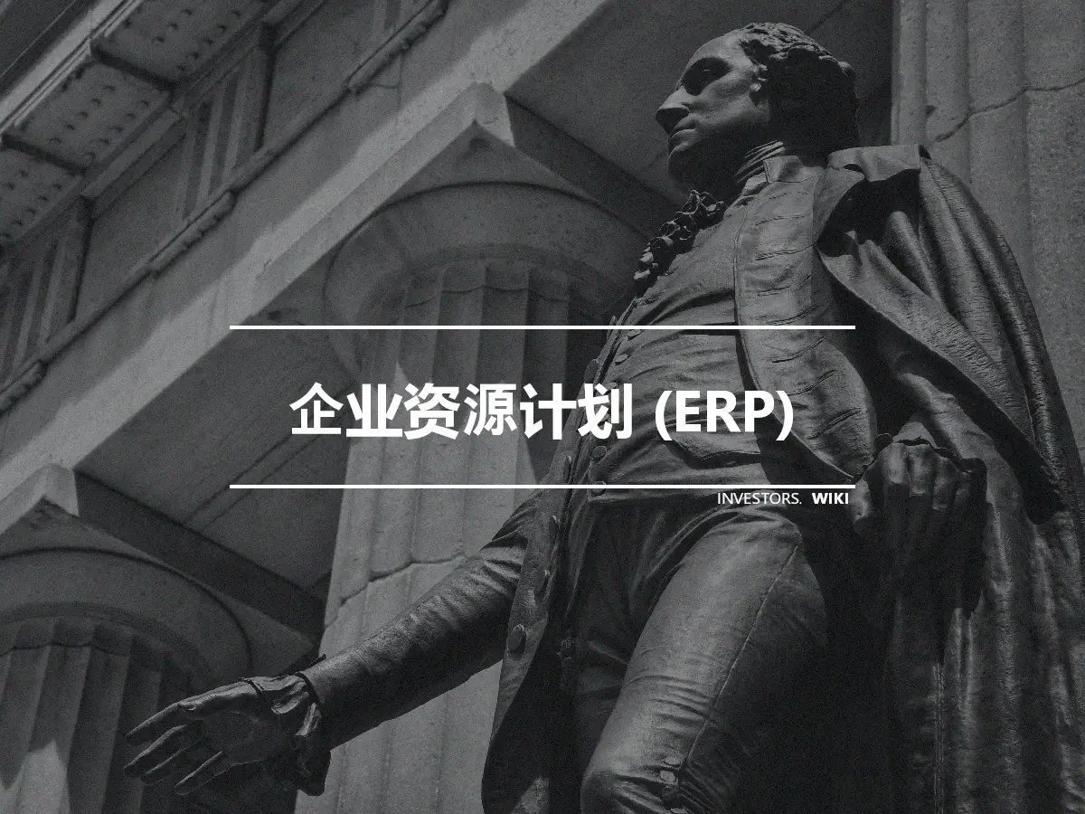 企业资源计划 (ERP)