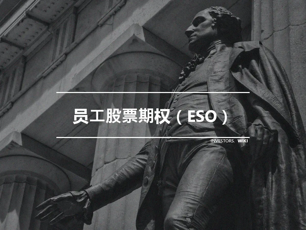 员工股票期权（ESO）