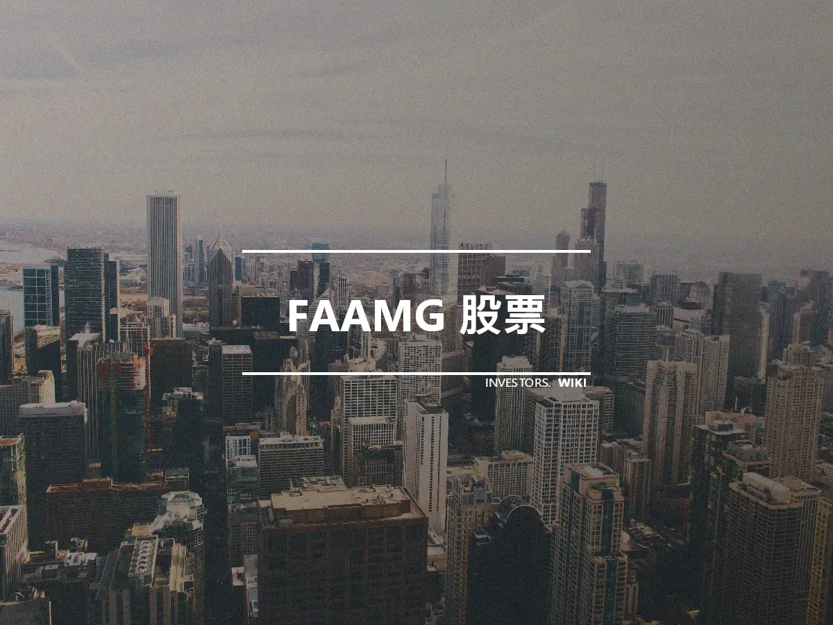 FAAMG 股票