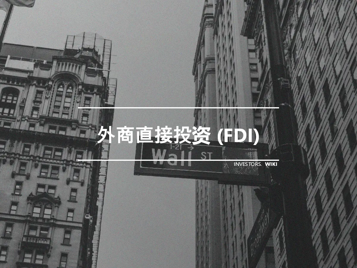 外商直接投资 (FDI)