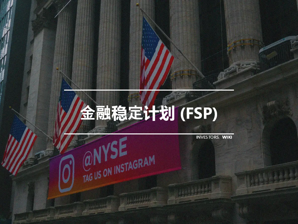 金融稳定计划 (FSP)