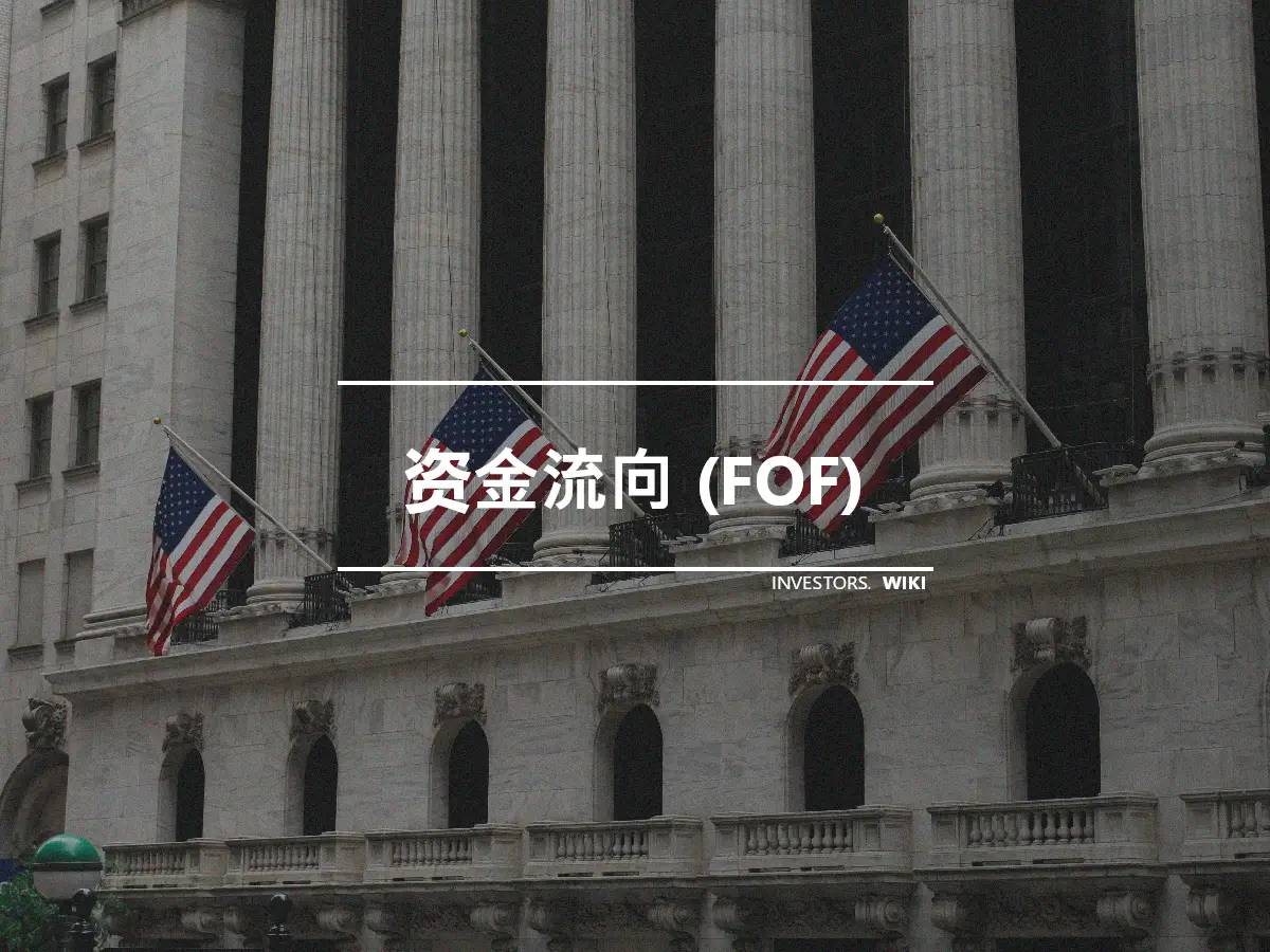 资金流向 (FOF)