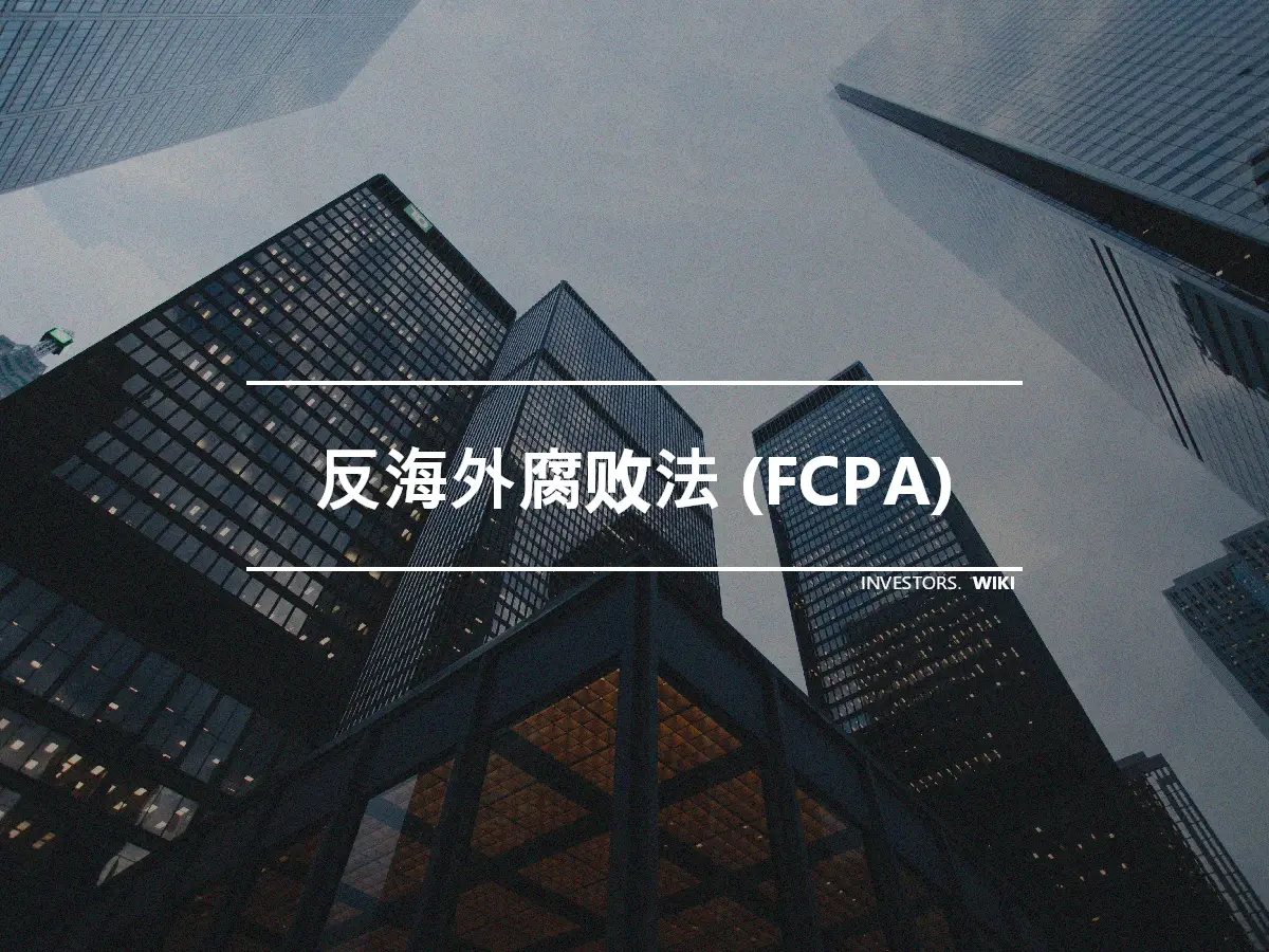 反海外腐败法 (FCPA)