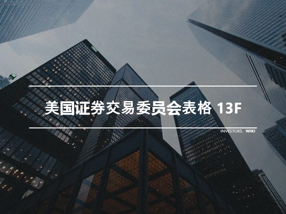 美国证券交易委员会表格 13F