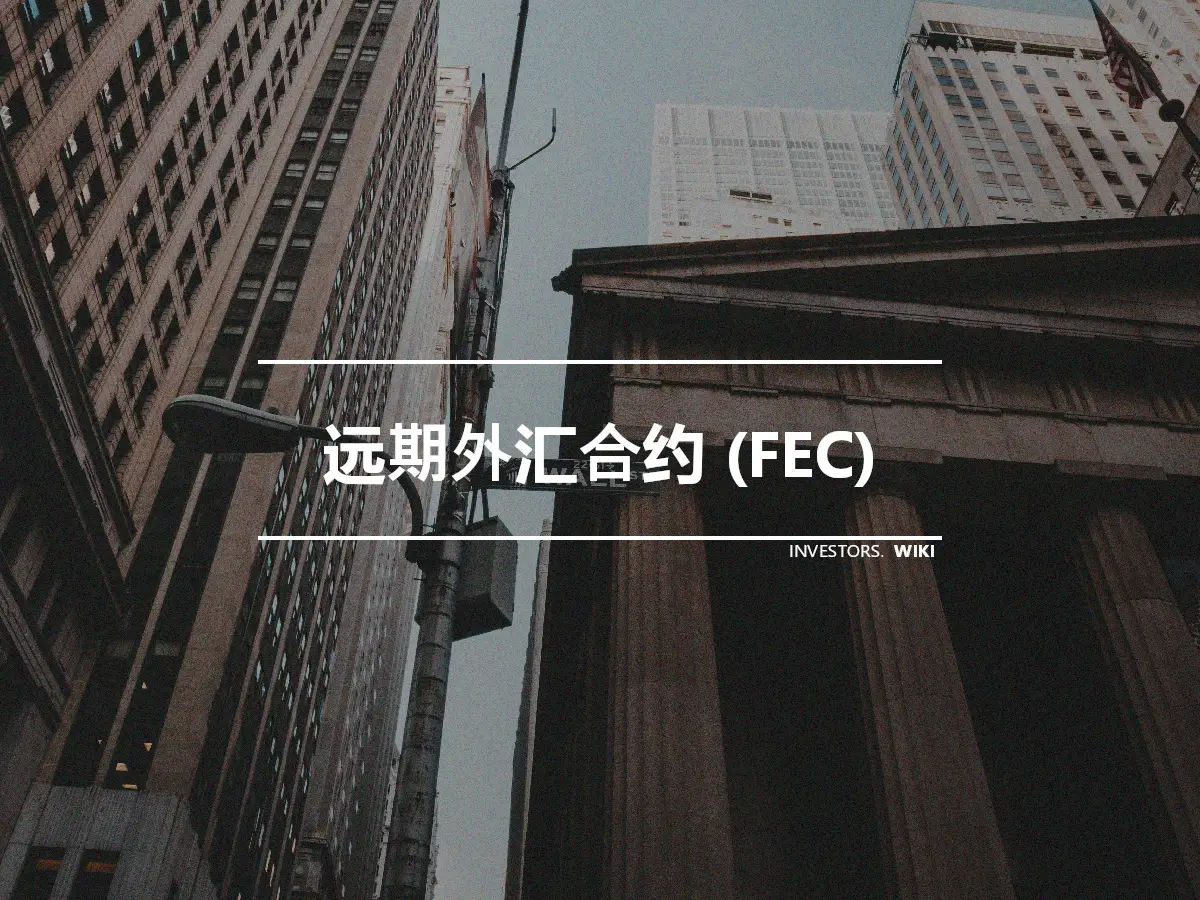 远期外汇合约 (FEC)