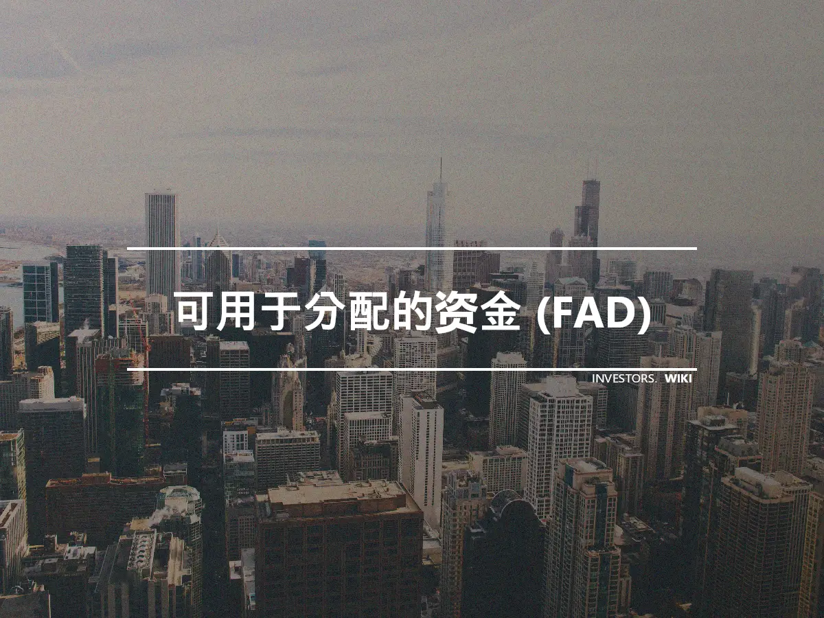 可用于分配的资金 (FAD)