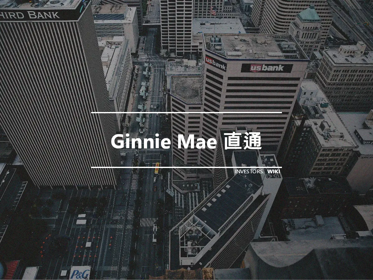 Ginnie Mae 直通