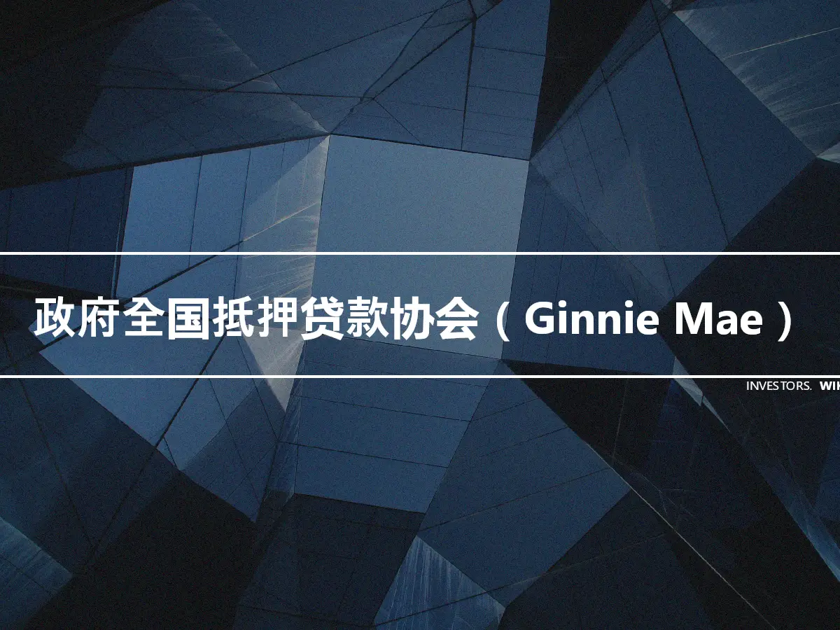 政府全国抵押贷款协会（Ginnie Mae）