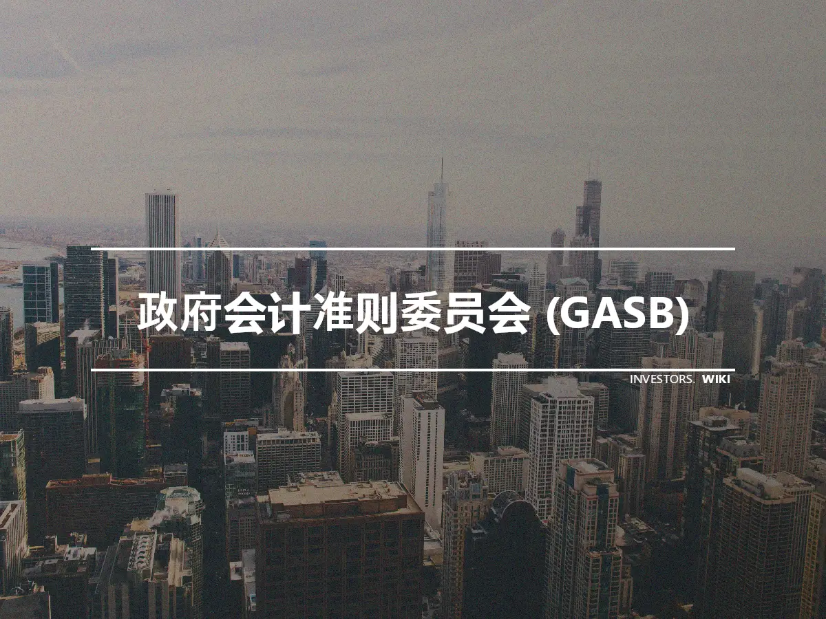 政府会计准则委员会 (GASB)