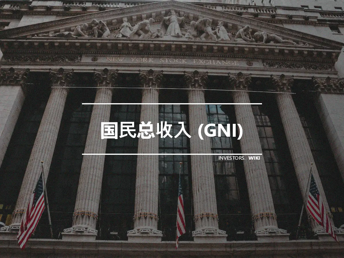 国民总收入 (GNI)